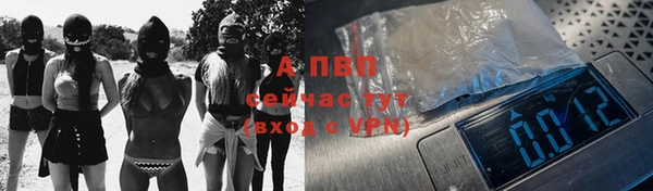 крисы Магадан