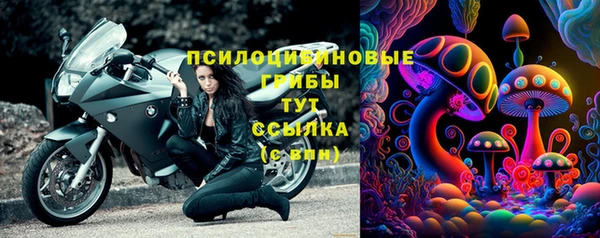 прущий лед Магас