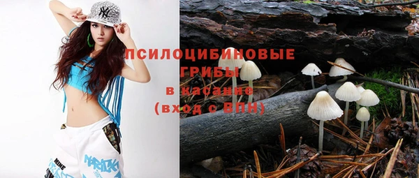 крисы Магадан