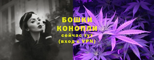 МДПВ Нижний Тагил
