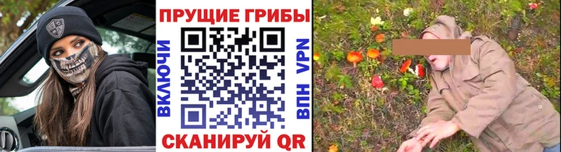 Псилоцибиновые грибы Psilocybine cubensis  купить наркотики сайты  Сарапул 