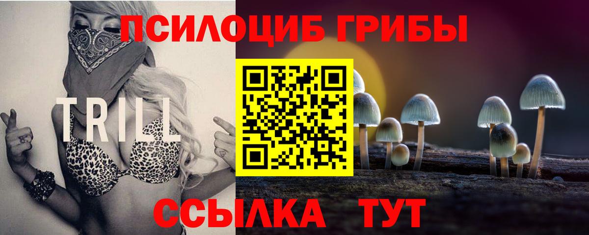 как найти   Псилоцибиновые грибы Psilocybe  Вход с VPN  Галлюциногенные грибы ЛСД  Сарапул 